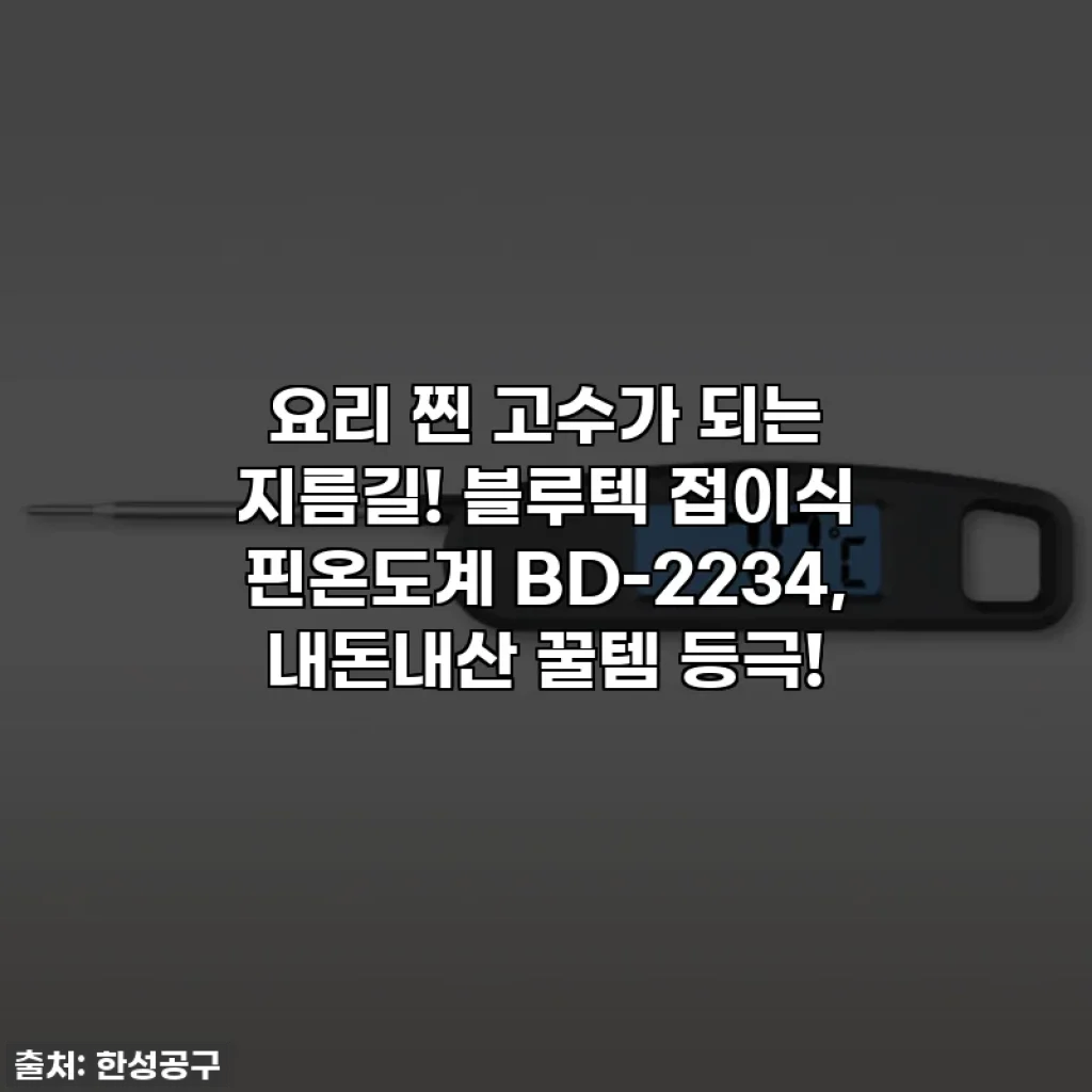 요리 찐 고수가 되는 지름길! 블루텍 접이식 핀온도계 BD-2234, 내돈내산 꿀템 등극!