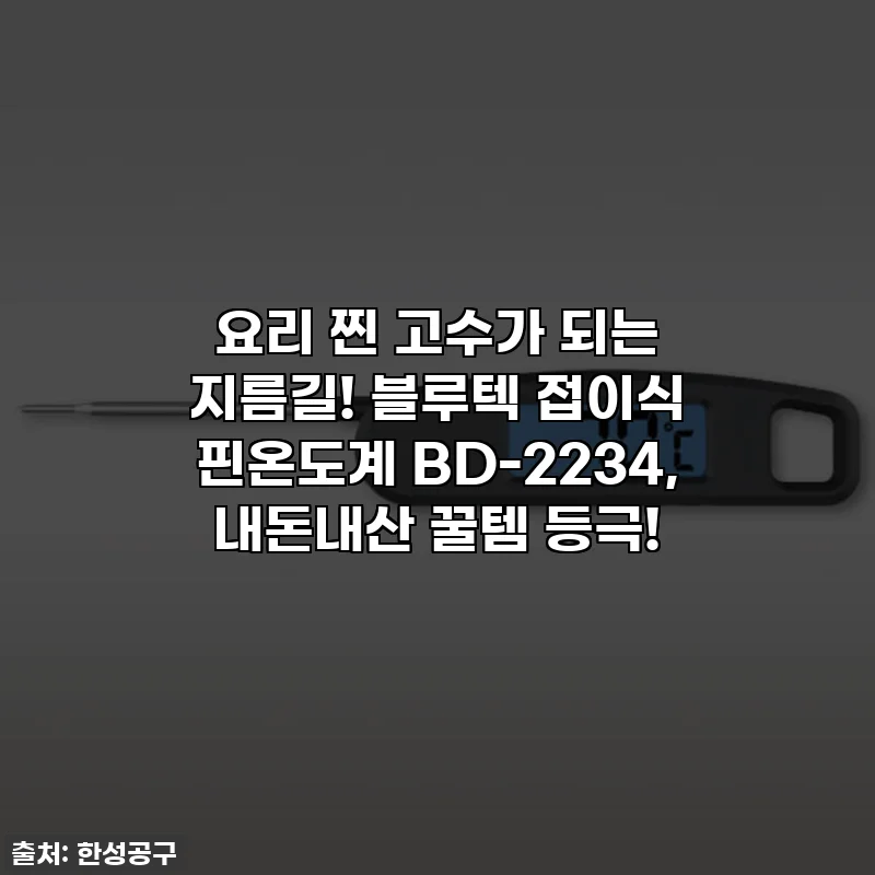 요리 찐 고수가 되는 지름길! 블루텍 접이식 핀온도계 BD-2234, 내돈내산 꿀템 등극!