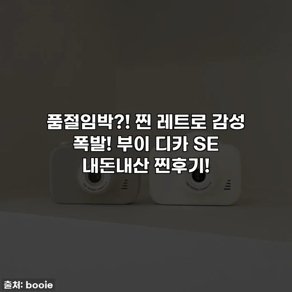 품절임박?! 찐 레트로 감성 폭발! 부이 디카 SE 내돈내산 찐후기!