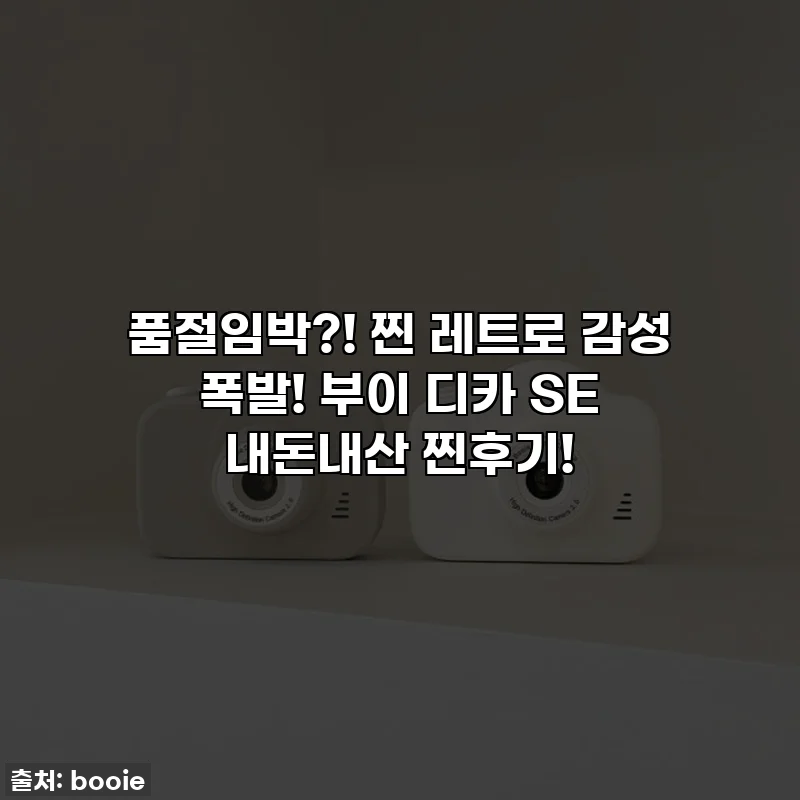 품절임박?! 찐 레트로 감성 폭발! 부이 디카 SE 내돈내산 찐후기!