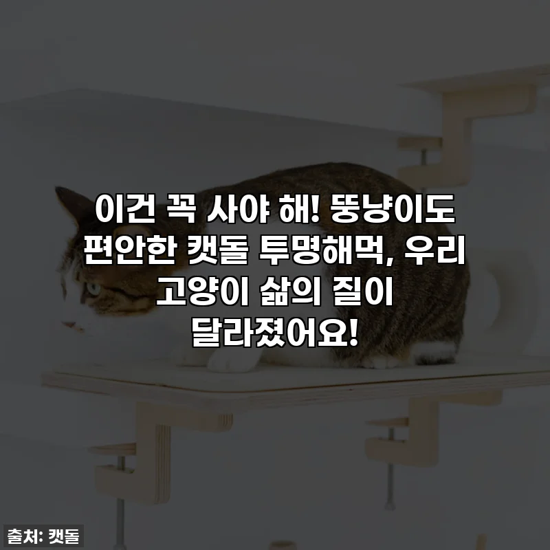 이건 꼭 사야 해! 뚱냥이도 편안한 캣돌 투명해먹, 우리 고양이 삶의 질이 달라졌어요!