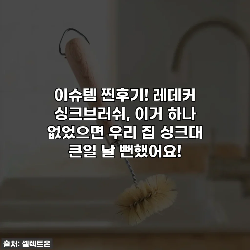 이슈템 찐후기! 레데커 싱크브러쉬, 이거 하나 없었으면 우리 집 싱크대 큰일 날 뻔했어요!