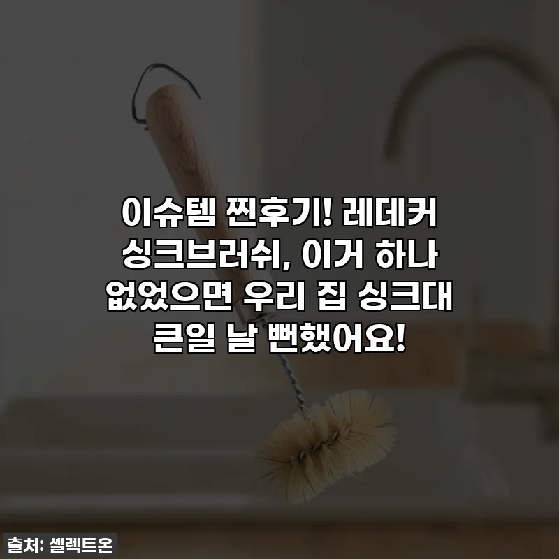 이슈템 찐후기! 레데커 싱크브러쉬, 이거 하나 없었으면 우리 집 싱크대 큰일 날 뻔했어요!