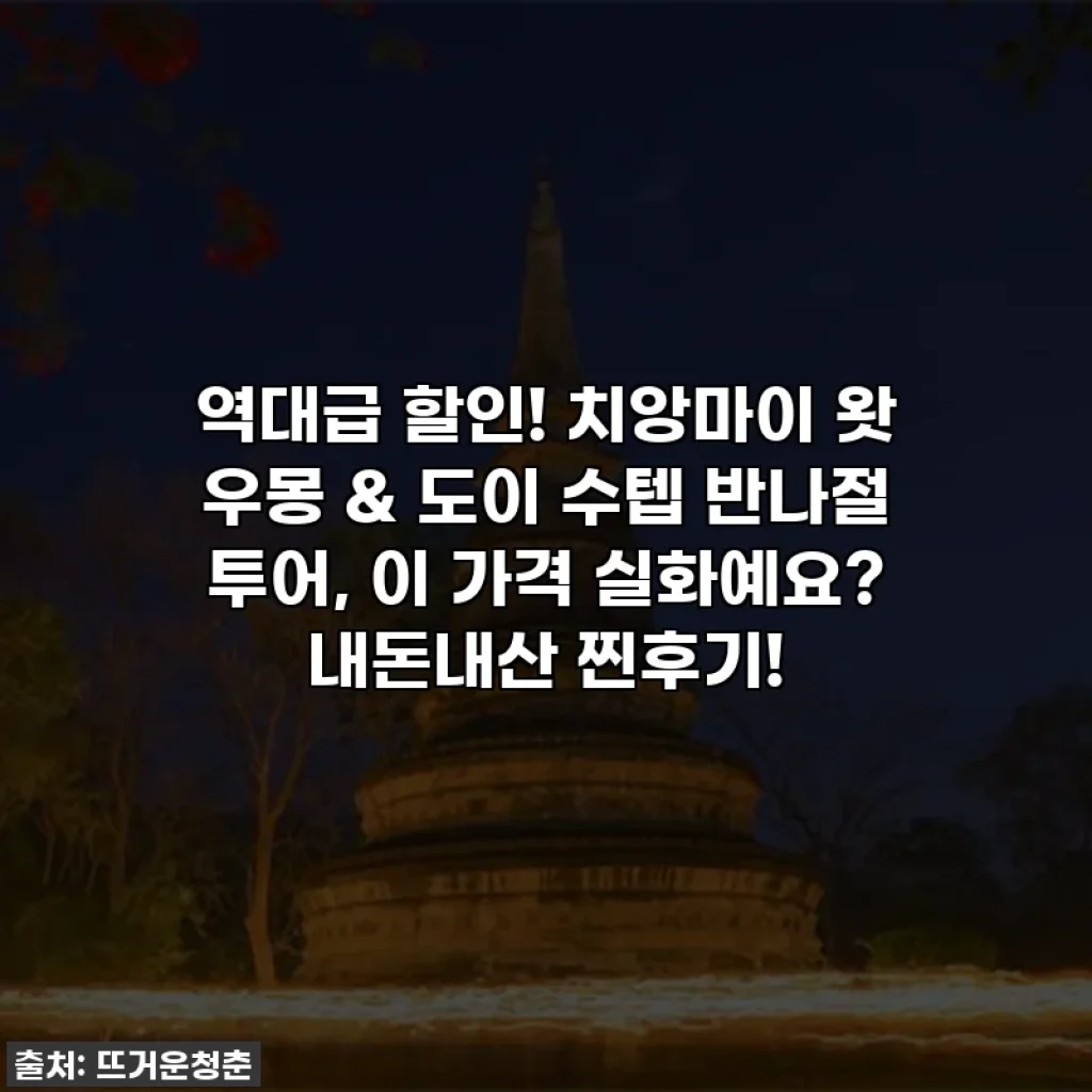 역대급 할인! 치앙마이 왓 우몽 & 도이 수텝 반나절 투어, 이 가격 실화예요? 내돈내산 찐후기!