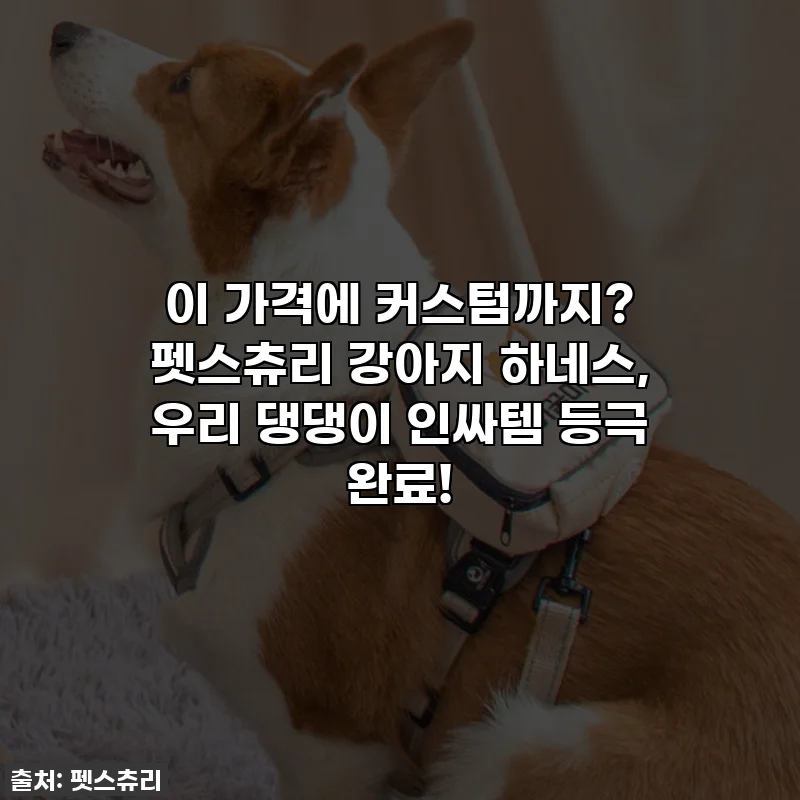 이 가격에 커스텀까지? 펫스츄리 강아지 하네스, 우리 댕댕이 인싸템 등극 완료!