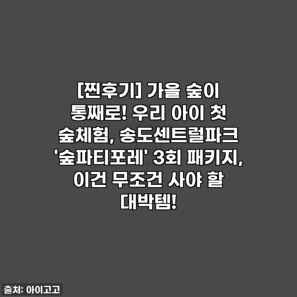 [찐후기] 가을 숲이 통째로! 우리 아이 첫 숲체험, 송도센트럴파크 '숲파티포레' 3회 패키지, 이건 무조건 사야 할 대박템!