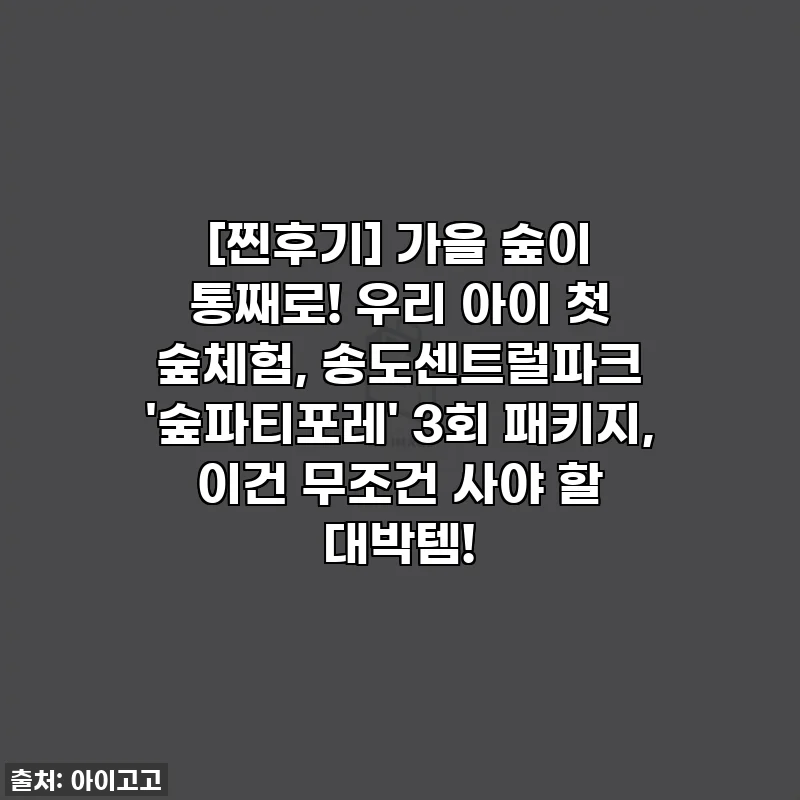 [찐후기] 가을 숲이 통째로! 우리 아이 첫 숲체험, 송도센트럴파크 '숲파티포레' 3회 패키지, 이건 무조건 사야 할 대박템!