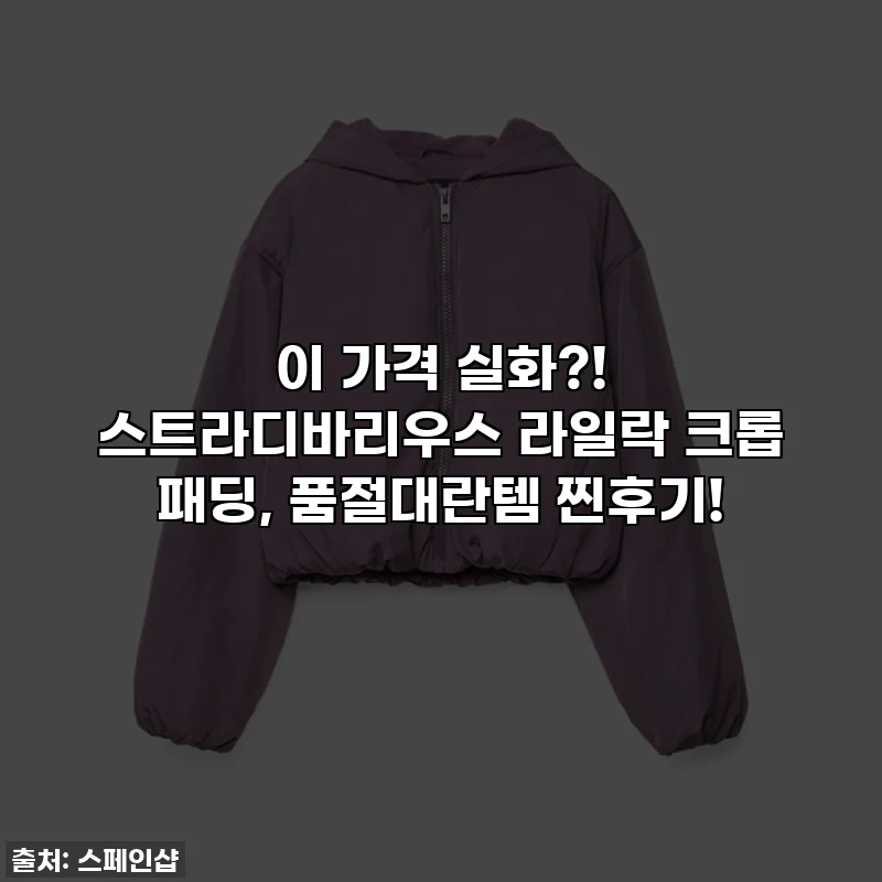 이 가격 실화?! 스트라디바리우스 라일락 크롭 패딩, 품절대란템 찐후기!