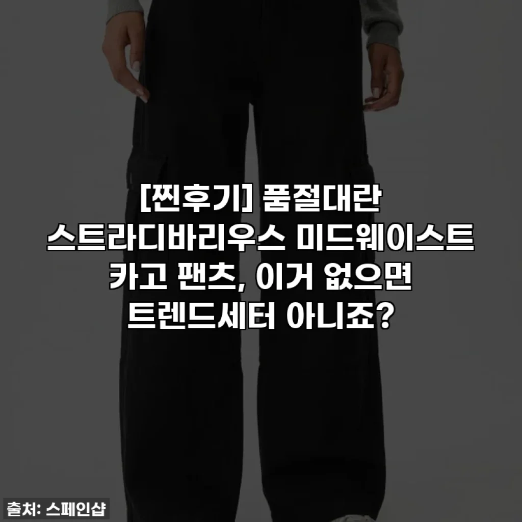 [찐후기] 품절대란 스트라디바리우스 미드웨이스트 카고 팬츠, 이거 없으면 트렌드세터 아니죠?