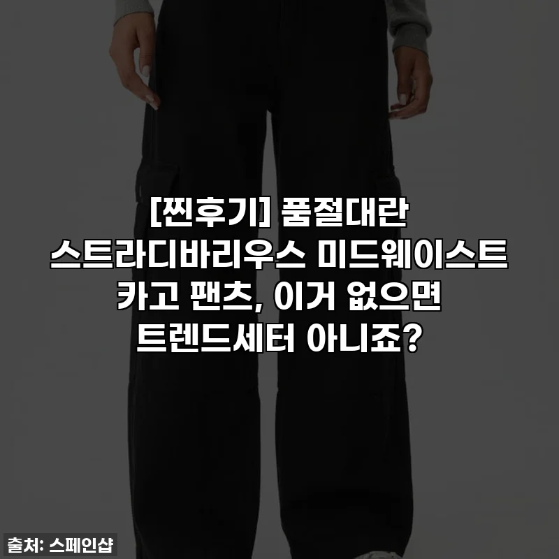 [찐후기] 품절대란 스트라디바리우스 미드웨이스트 카고 팬츠, 이거 없으면 트렌드세터 아니죠?