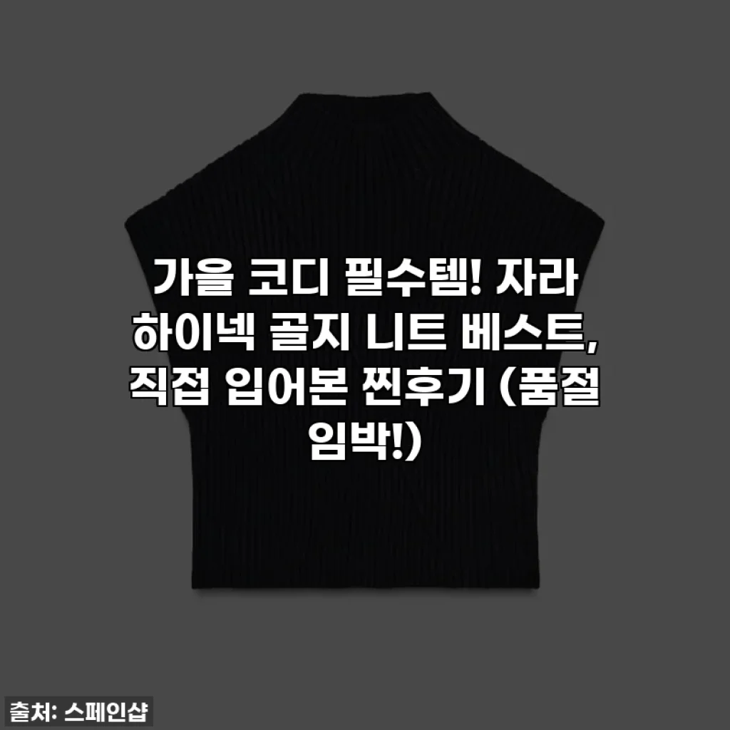 가을 코디 필수템! 자라 하이넥 골지 니트 베스트, 직접 입어본 찐후기 (품절 임박!)