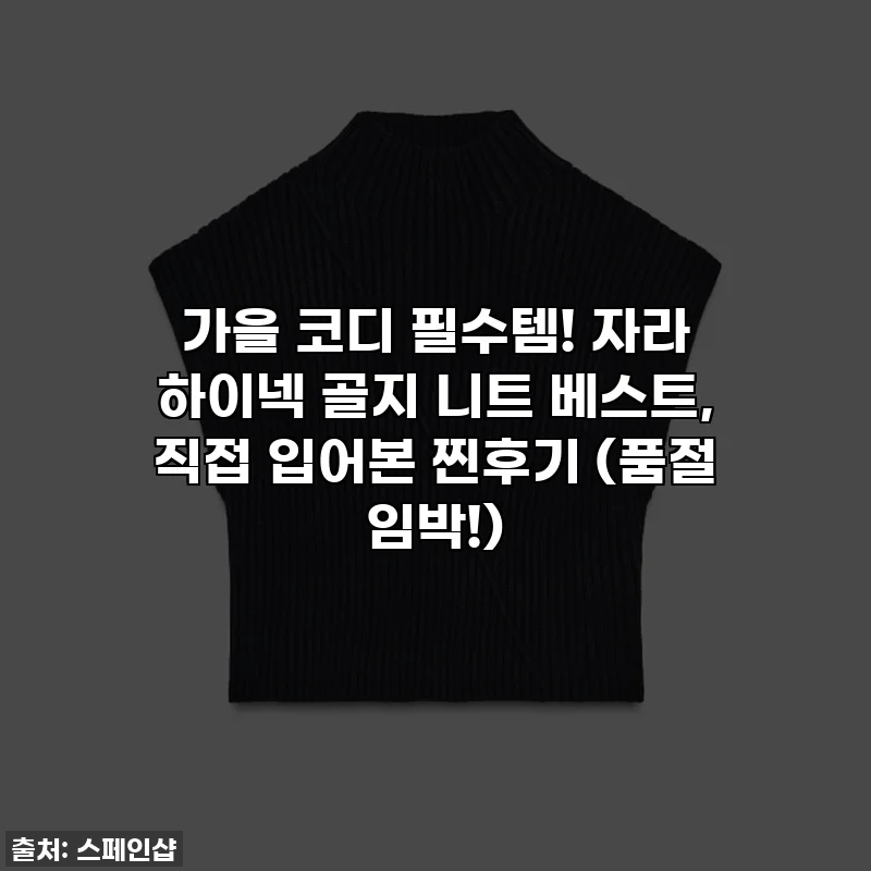 가을 코디 필수템! 자라 하이넥 골지 니트 베스트, 직접 입어본 찐후기 (품절 임박!)