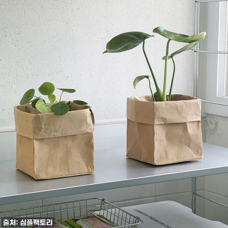 진심 품절 임박! 냉장고 야채 보관 관련 이미지 1