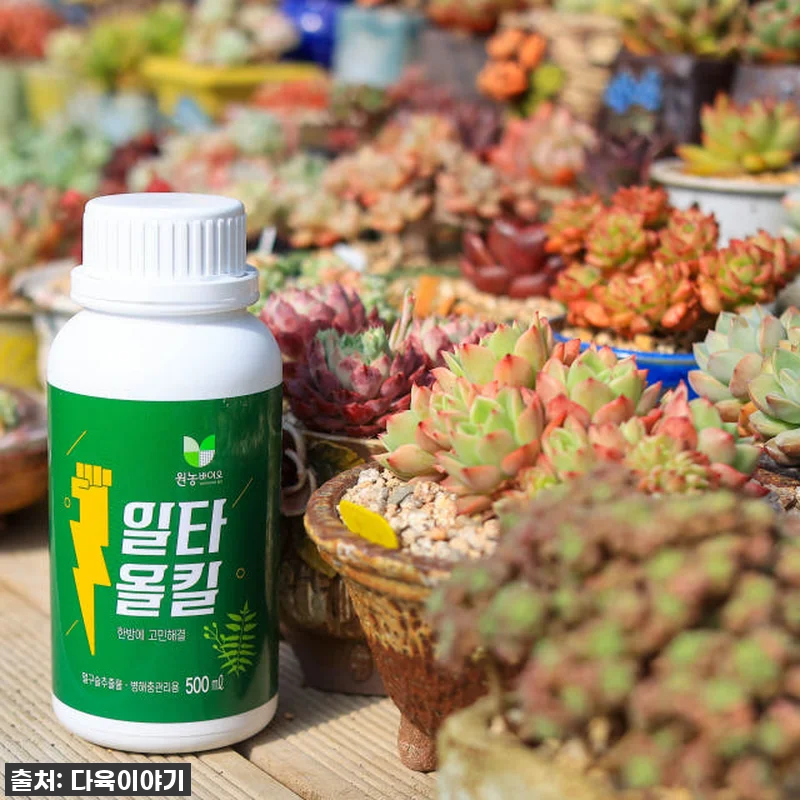 이건 무조건 쟁여야 해! 우리 집 다 관련 이미지 1