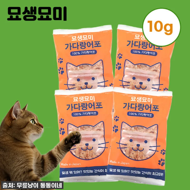 우리집 냥이가 애타게 기다리는 찐간식 관련 이미지 1