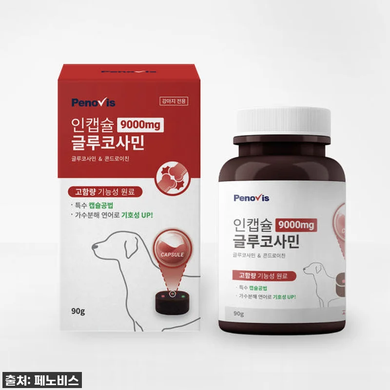 강아지 관절영양제 페노비스 슬개골 관 관련 이미지 1