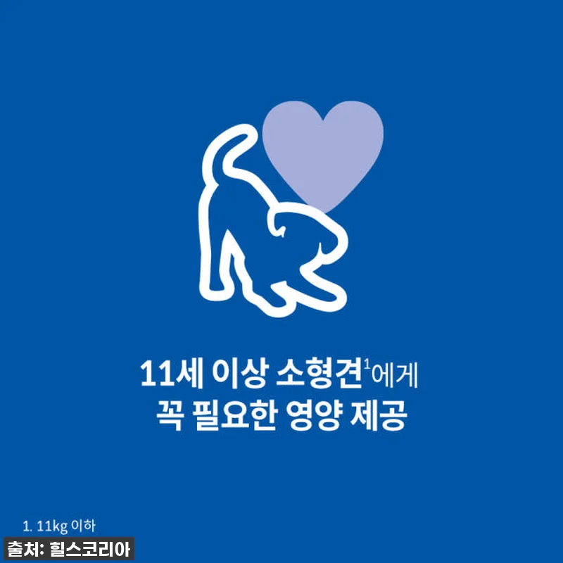 우리집 깐깐 노견도 홀딱 반한! 힐스 관련 이미지 1