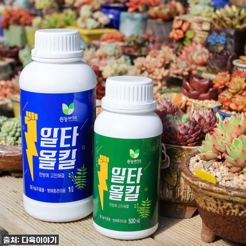 이건 무조건 쟁여야 해! 우리 집 다 관련 이미지 2
