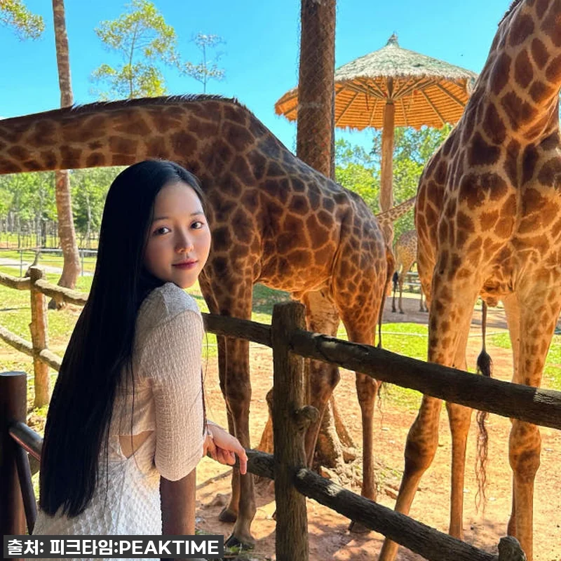 푸꾸옥 새벽 도착? 북부 사파리 혼똔 관련 이미지 1