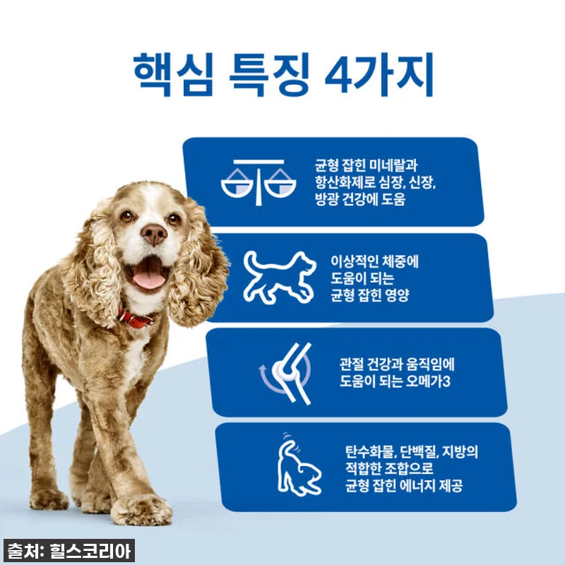 우리집 깐깐 노견도 홀딱 반한! 힐스 관련 이미지 2