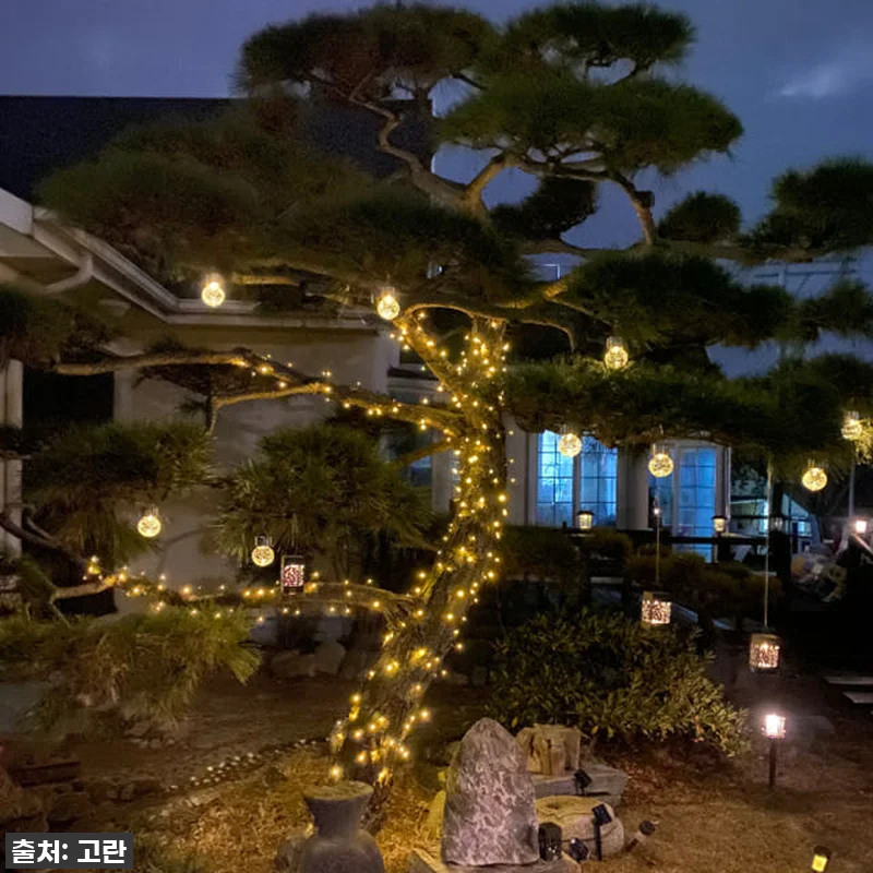 🎄✨ 역대급 영롱함! 고란 태양광 줄 관련 이미지 1