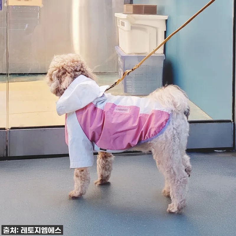비 오는 날 산책 필수템! 레토 올인 관련 이미지 3