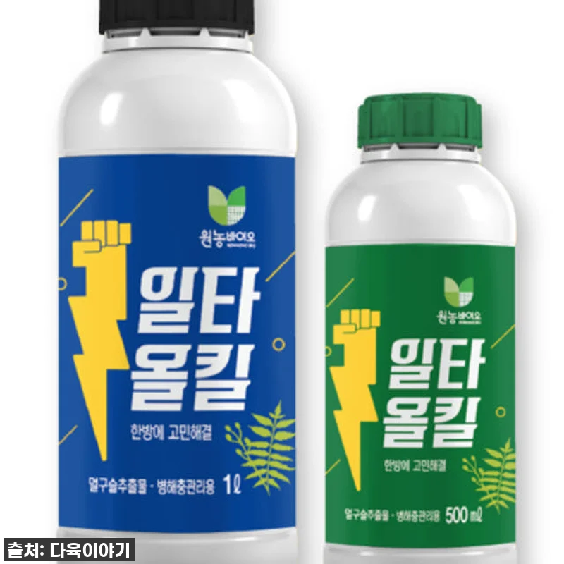 이건 무조건 쟁여야 해! 우리 집 다 관련 이미지 3