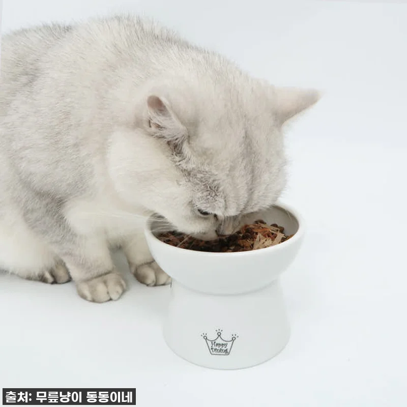 우리집 냥이가 애타게 기다리는 찐간식 관련 이미지 3
