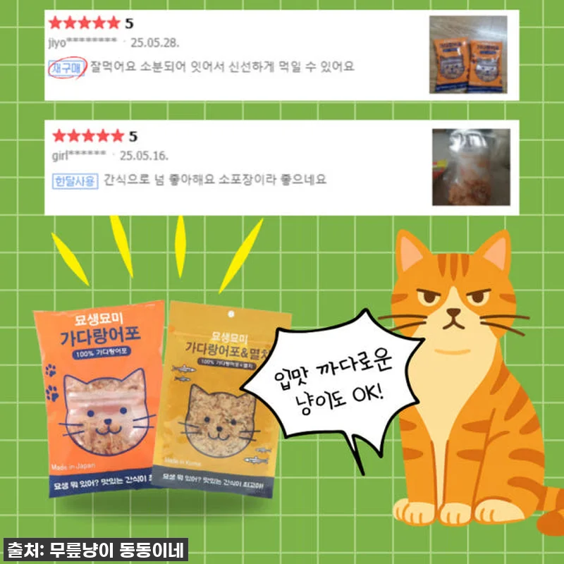 우리집 냥이가 애타게 기다리는 찐간식 관련 이미지 4