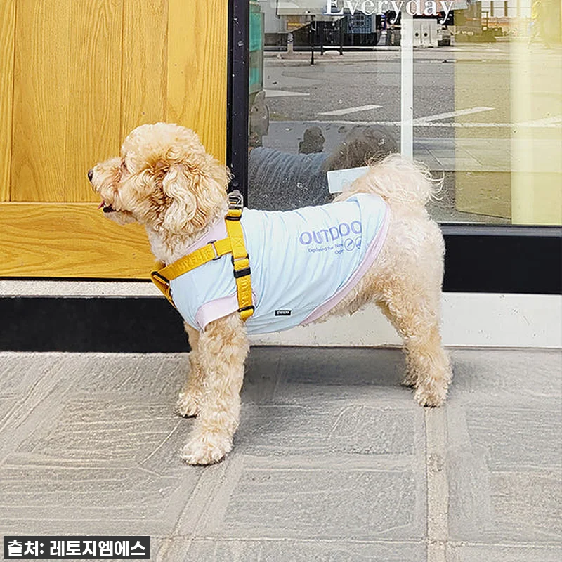 비 오는 날 산책 필수템! 레토 올인 관련 이미지 6