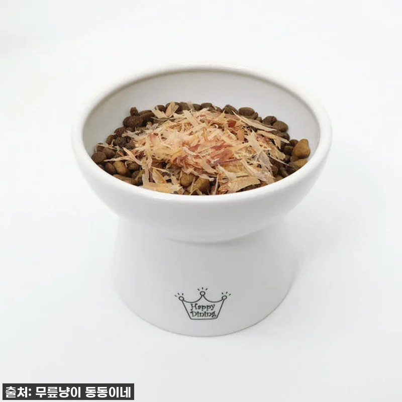 우리집 냥이가 애타게 기다리는 찐간식 관련 이미지 7