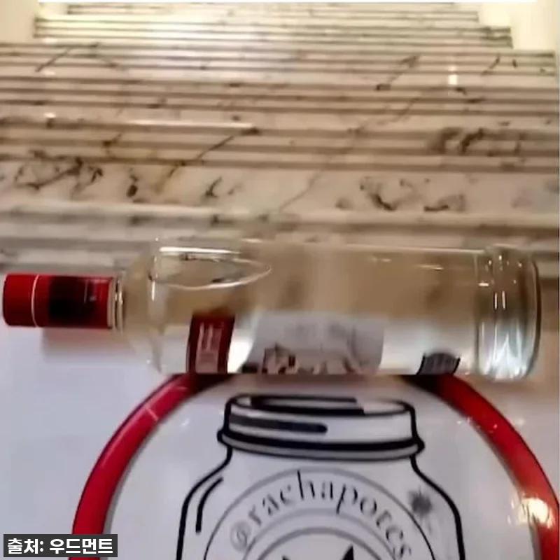 지금 이 가격 실화? 라인트 무선 보 관련 이미지 8