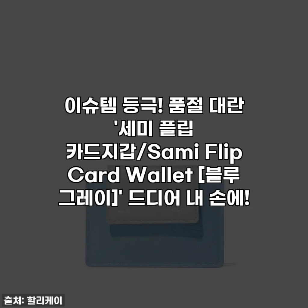 이슈템 등극! 품절 대란 '세미 플립 카드지갑/Sami Flip Card Wallet [블루 그레이]' 드디어 내 손에!