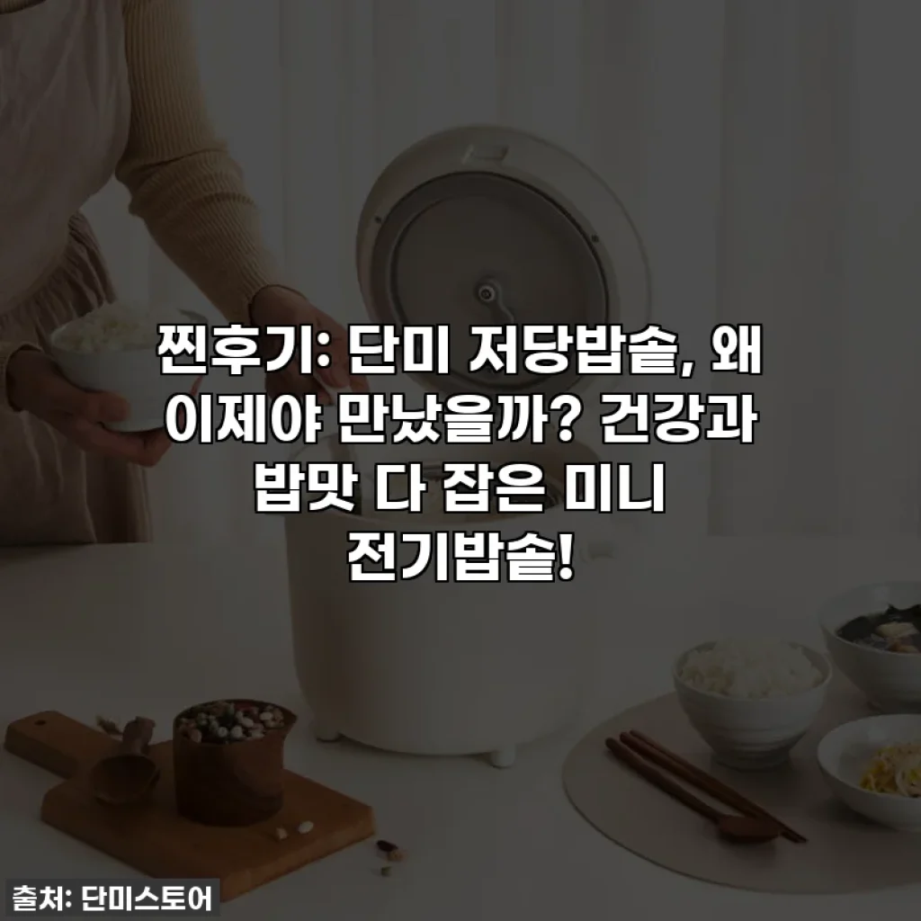 찐후기: 단미 저당밥솥, 왜 이제야 만났을까? 건강과 밥맛 다 잡은 미니 전기밥솥!