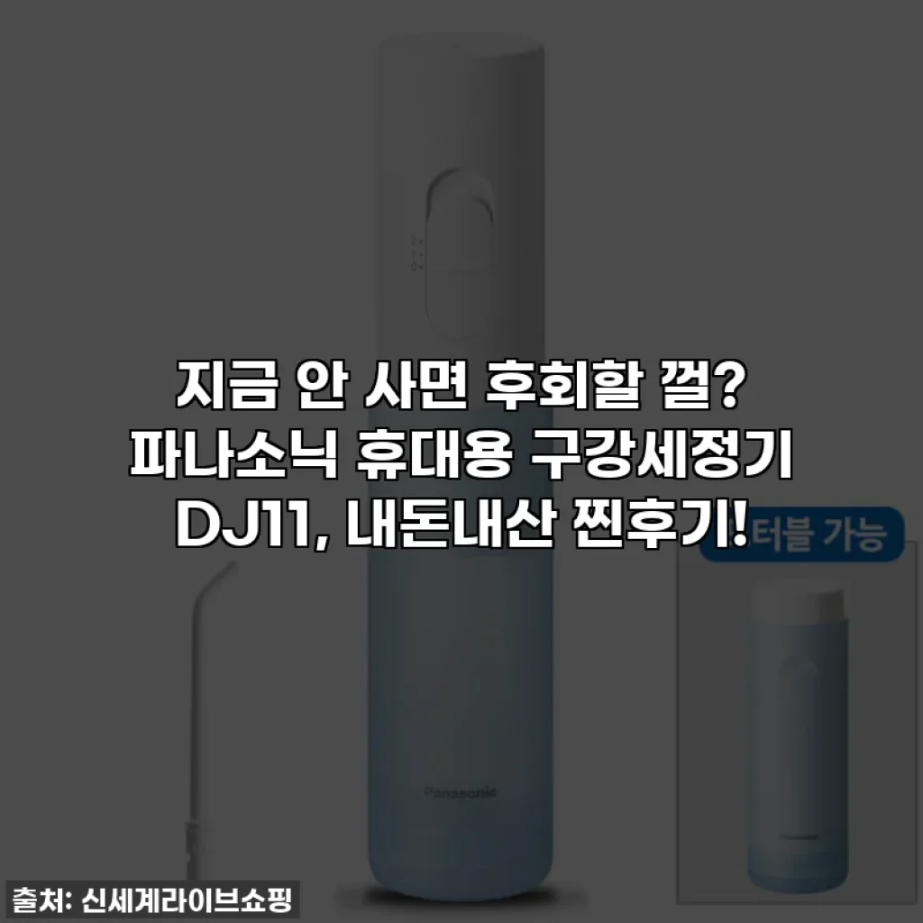 지금 안 사면 후회할 껄? 파나소닉 휴대용 구강세정기 DJ11, 내돈내산 찐후기!