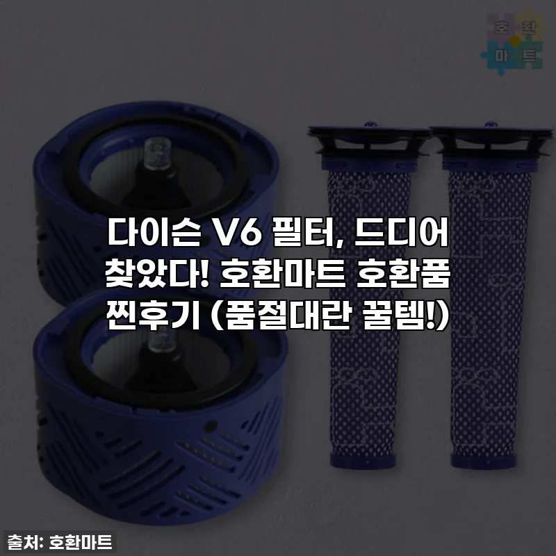 다이슨 V6 필터, 드디어 찾았다! 호환마트 호환품 찐후기 (품절대란 꿀템!)