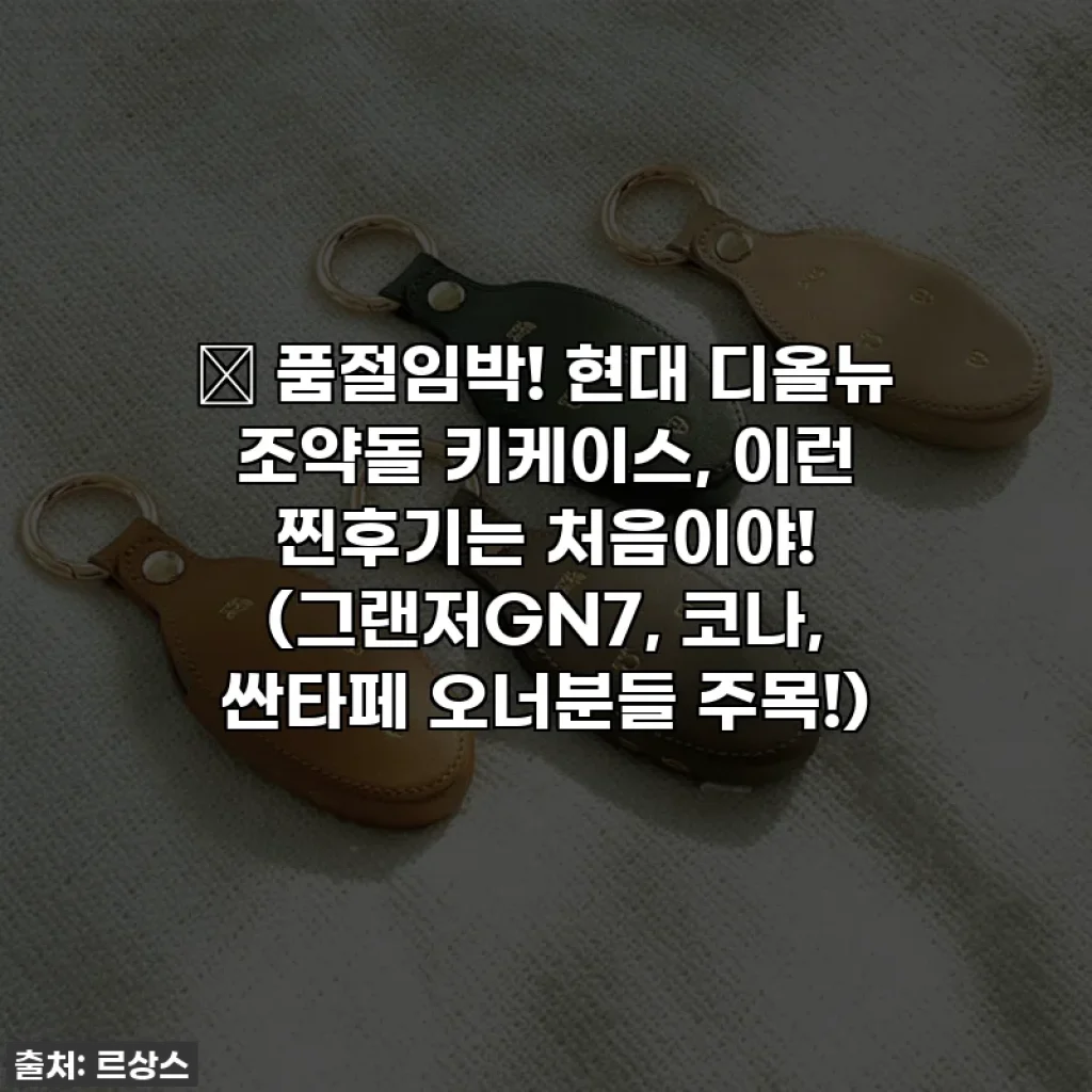 🎁 품절임박! 현대 디올뉴 조약돌 키케이스, 이런 찐후기는 처음이야! (그랜저GN7, 코나, 싼타페 오너분들 주목!)