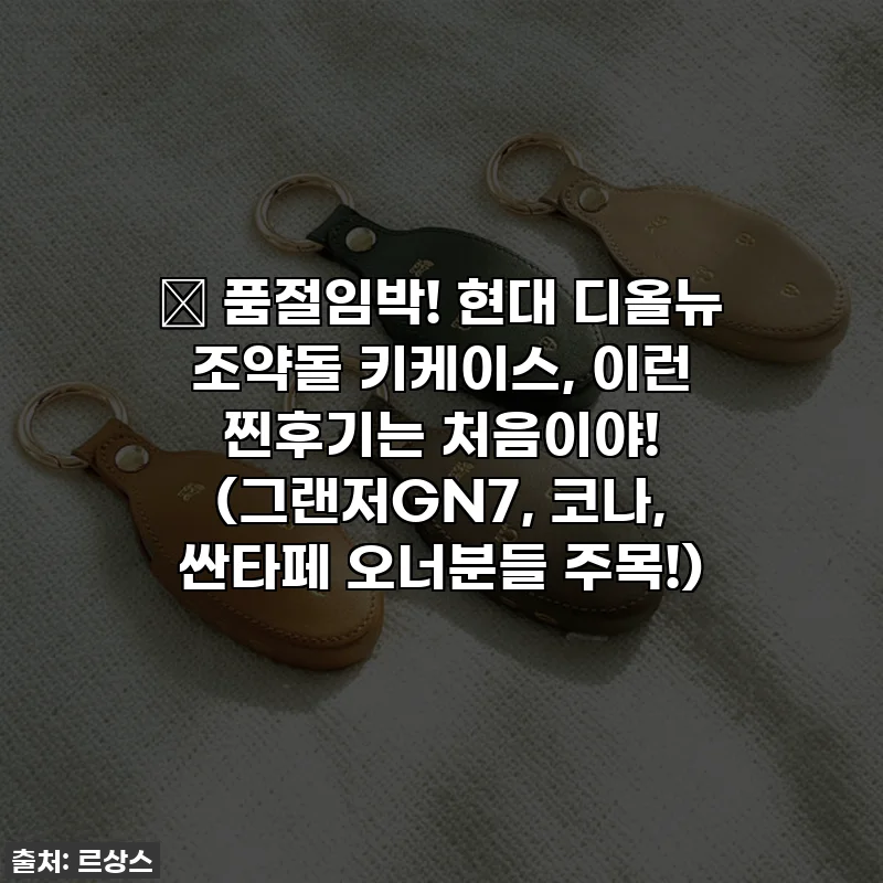 🎁 품절임박! 현대 디올뉴 조약돌 키케이스, 이런 찐후기는 처음이야! (그랜저GN7, 코나, 싼타페 오너분들 주목!)