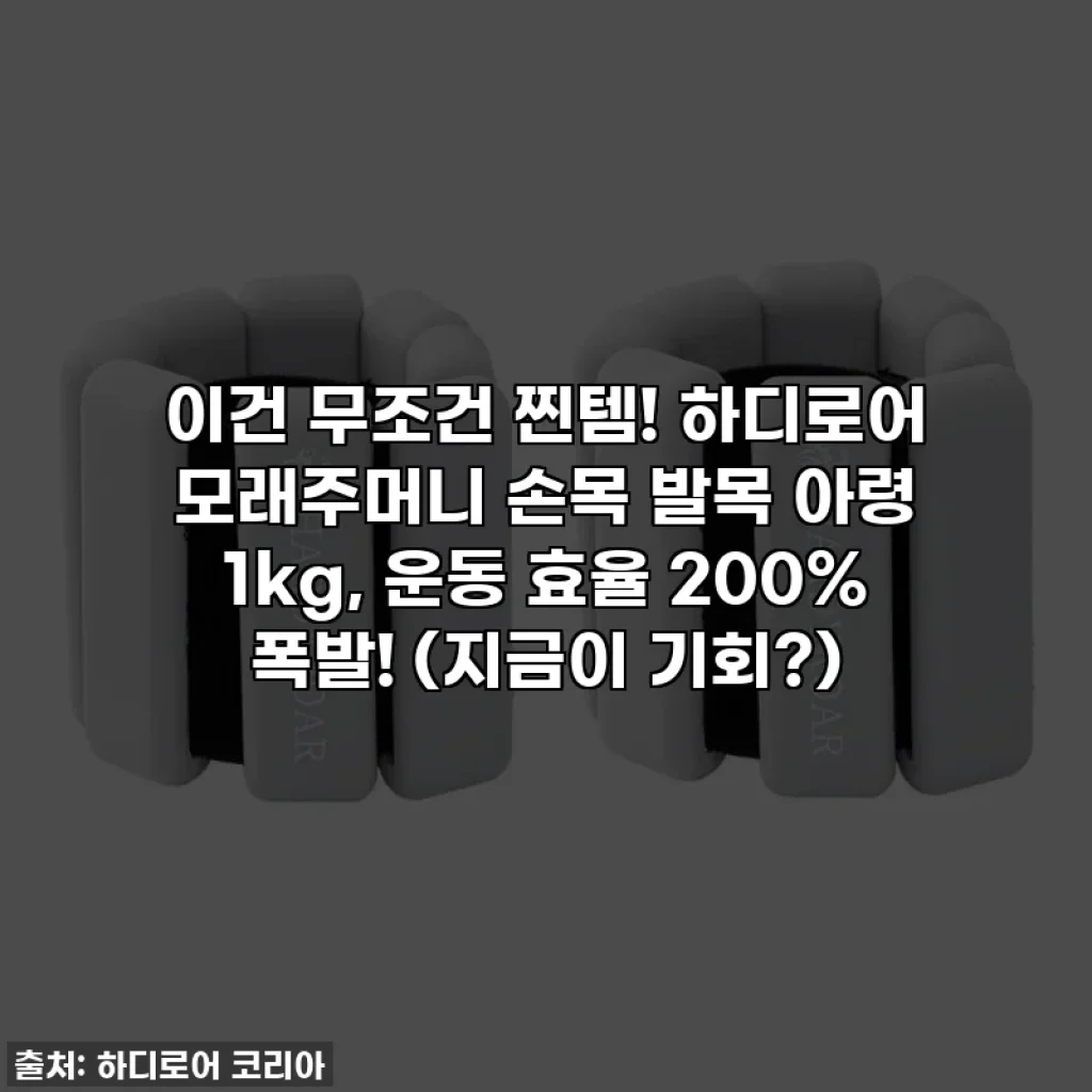 이건 무조건 찐템! 하디로어 모래주머니 손목 발목 아령 1kg, 운동 효율 200% 폭발! (지금이 기회?)