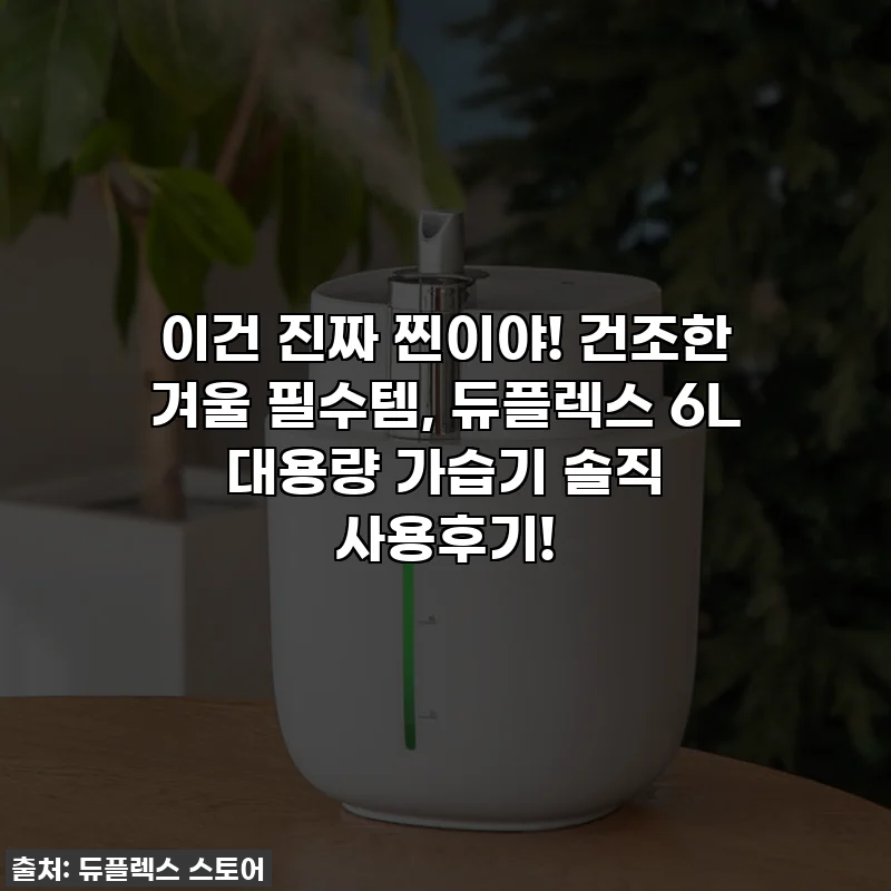 이건 진짜 찐이야! 건조한 겨울 필수템, 듀플렉스 6L 대용량 가습기 솔직 사용후기!