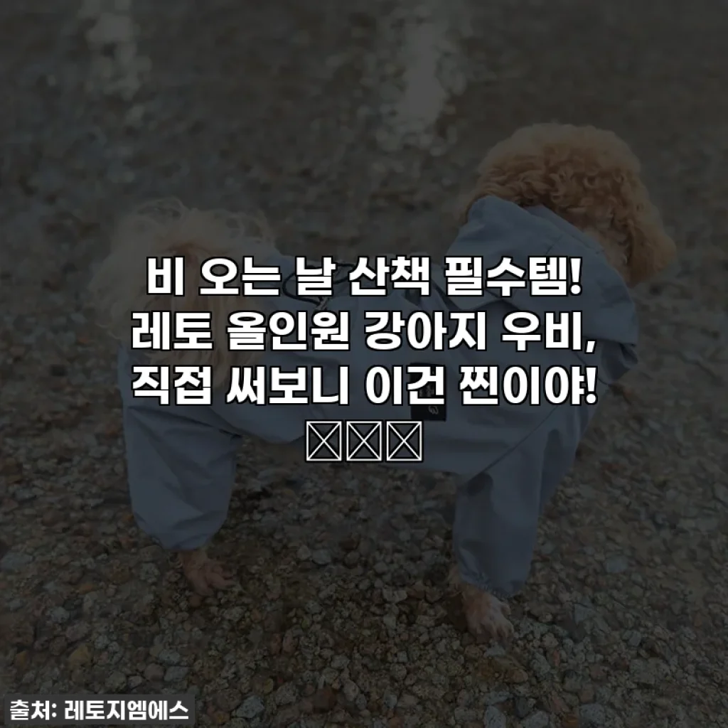 비 오는 날 산책 필수템! 레토 올인원 강아지 우비, 직접 써보니 이건 찐이야! ☔️🐕