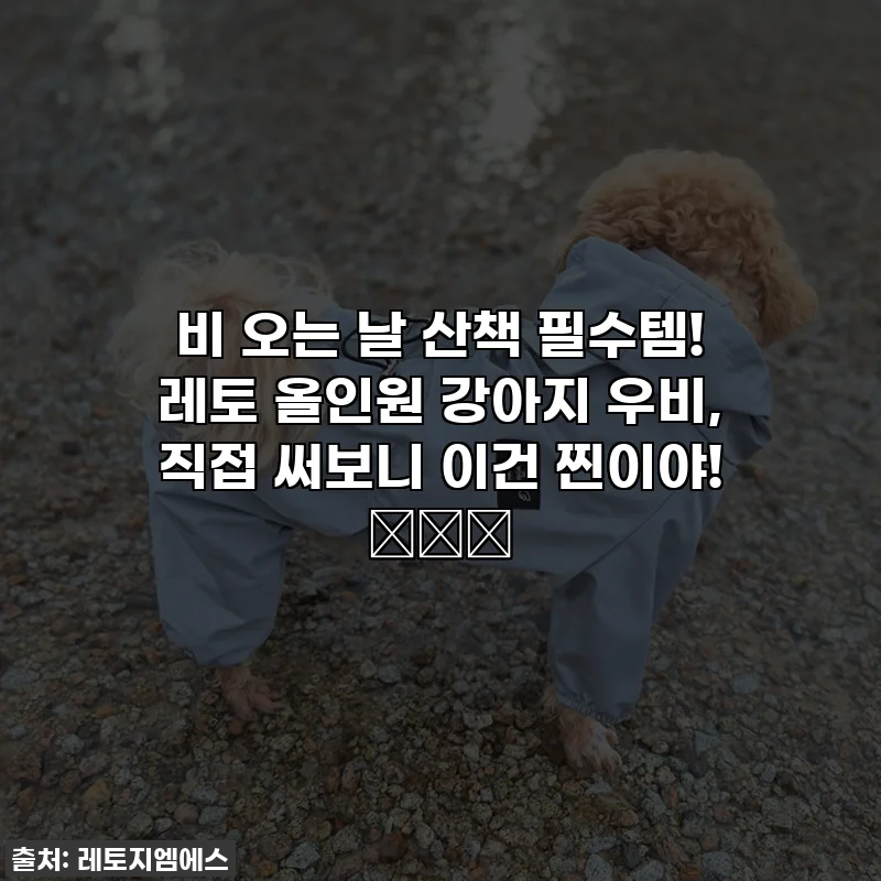 비 오는 날 산책 필수템! 레토 올인원 강아지 우비, 직접 써보니 이건 찐이야! ☔️🐕