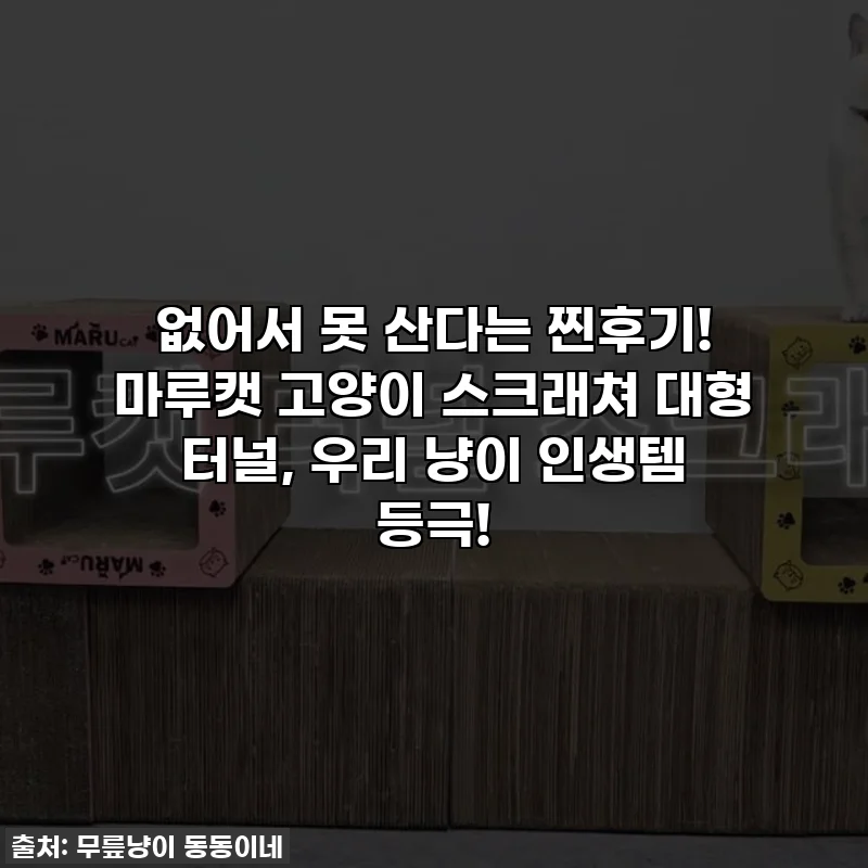 없어서 못 산다는 찐후기! 마루캣 고양이 스크래쳐 대형 터널, 우리 냥이 인생템 등극!