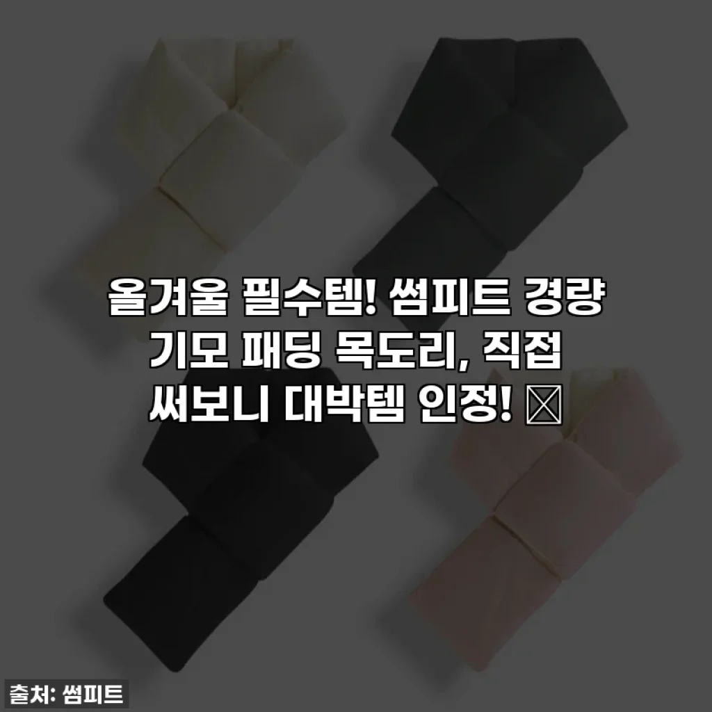 올겨울 필수템! 썸피트 경량 기모 패딩 목도리, 직접 써보니 대박템 인정! ✨