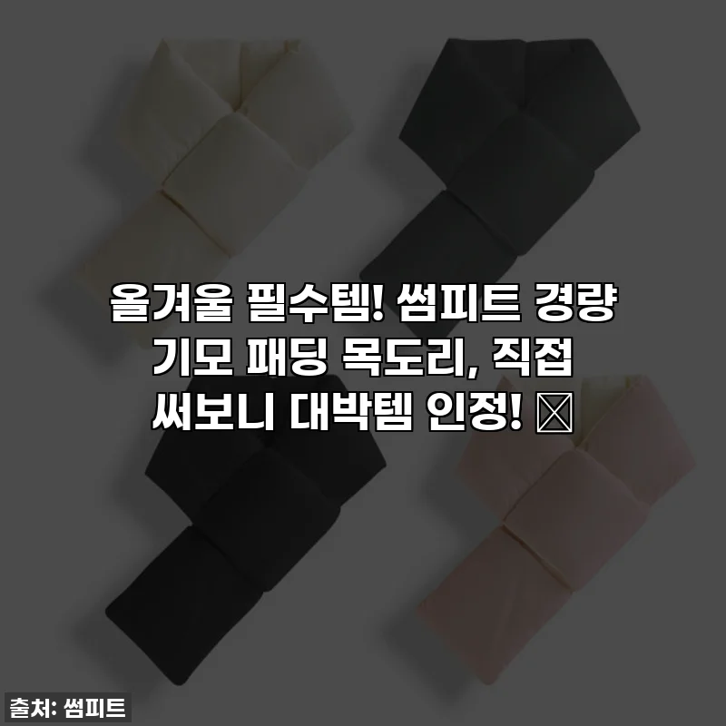 올겨울 필수템! 썸피트 경량 기모 패딩 목도리, 직접 써보니 대박템 인정! ✨