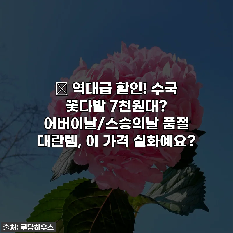 🎁 역대급 할인! 수국 꽃다발 7천원대? 어버이날/스승의날 품절 대란템, 이 가격 실화예요?