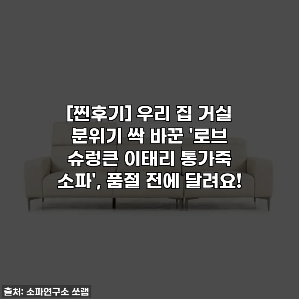 [찐후기] 우리 집 거실 분위기 싹 바꾼 '로브 슈렁큰 이태리 통가죽 소파', 품절 전에 달려요!