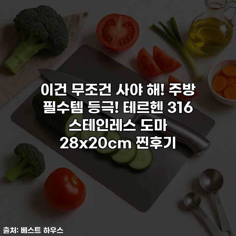 이건 무조건 사야 해! 주방 필수템 등극! 테르헨 316 스테인레스 도마 28x20cm 찐후기