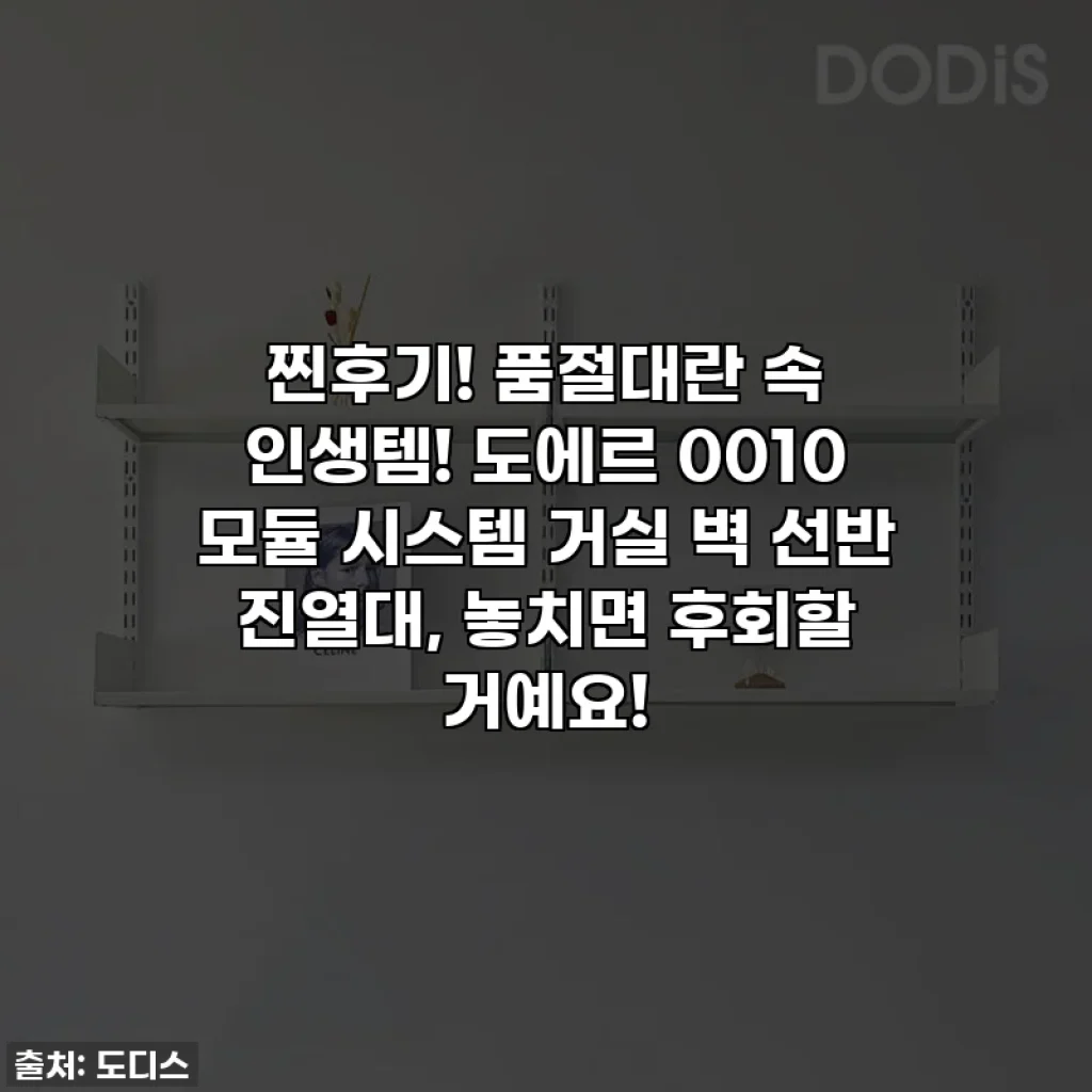 찐후기! 품절대란 속 인생템! 도에르 0010 모듈 시스템 거실 벽 선반 진열대, 놓치면 후회할 거예요!