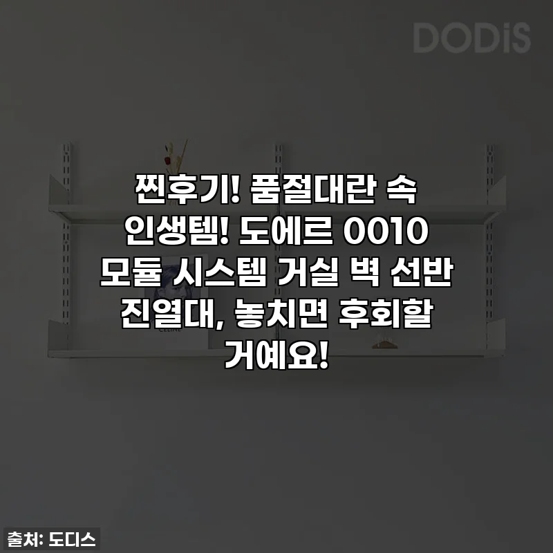 찐후기! 품절대란 속 인생템! 도에르 0010 모듈 시스템 거실 벽 선반 진열대, 놓치면 후회할 거예요!